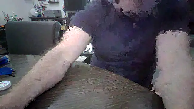 Snapshot of LARawAlways2 chatting on 02.26.26 LARawAlways2 online show from 02.26.26