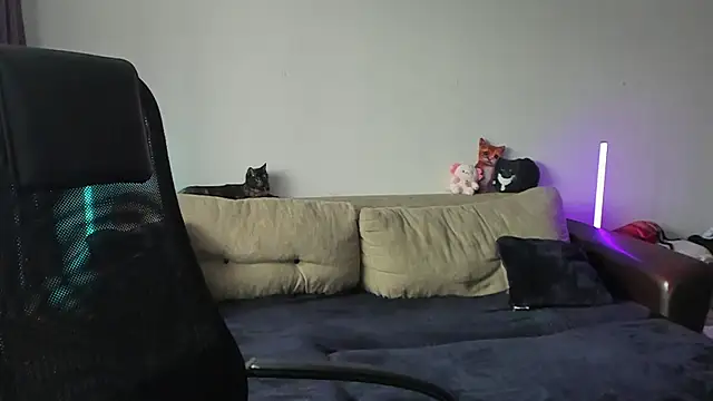 Ostin meow online show from 07.03.26