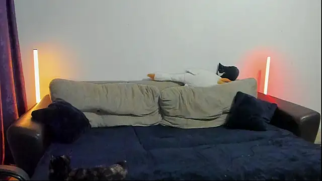 Ostin meow online show from 08.02.26