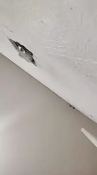 Snapshot of cerejinha_hot chatting on 12.16.24 cerejinha hot online show from 12.16.24