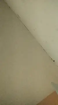 Snapshot of cerejinha_hot chatting on 12.19.24 cerejinha hot online show from 12.19.24