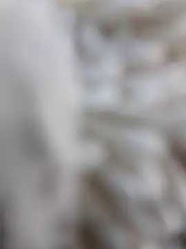 lemon69Reo online show from 02.15.26