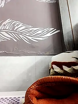 shalini fire online show from 11.02.25