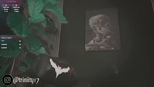 Snapshot of Trinity___s chatting on 01.01.25 Trinity s online show from 01.01.25