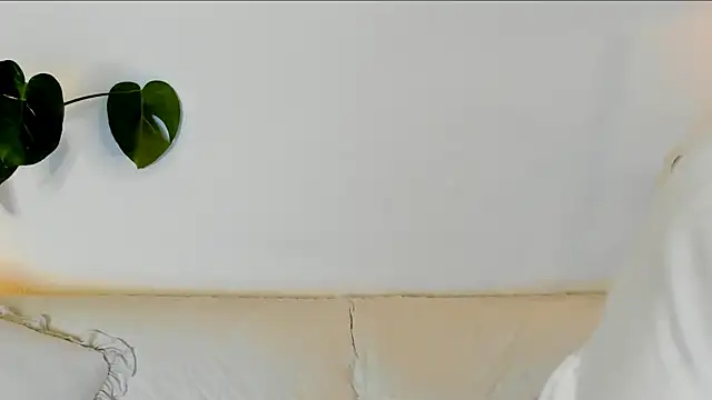 Amie Hill online show from 04.05.26