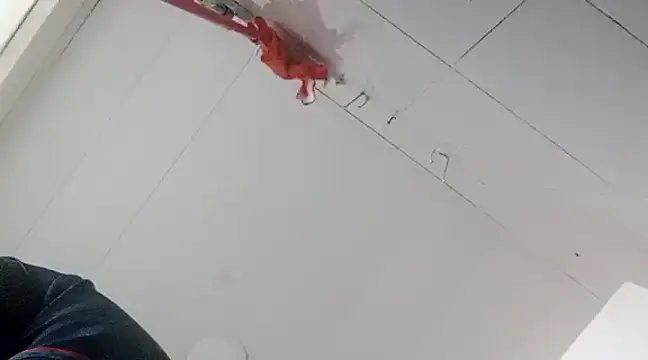 Darly Gomez online show from 01.02.25