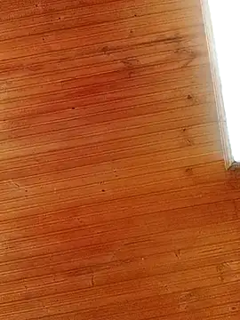 Darly Gomez online show from 03.01.25