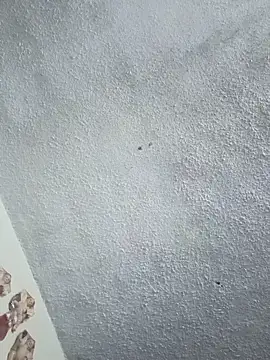 Darly Gomez online show from 01.31.26