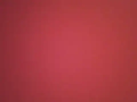 Snapshot of _revianzip1 chatting on 12.25.24  revianzip1 online show from 12.25.24