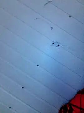 frotasso online show from 12.12.24