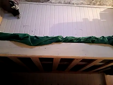 frotasso online show from 02.16.25