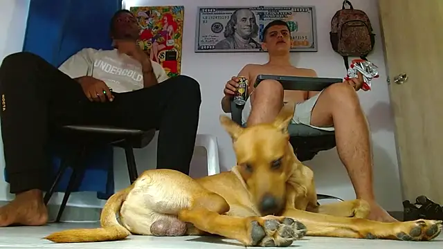 boss of cash online show from 07.14.26