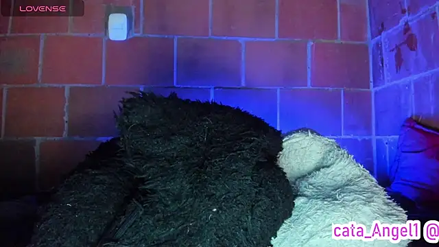 Cata-angel online show from 06.11.26