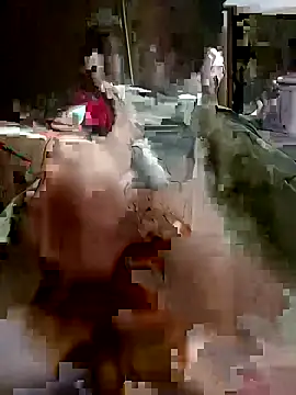 Snapshot of fun2fuck173 chatting on 10.13.25 fun2fuck173 online show from 10.13.25