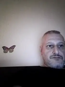 Husoban online show from 01.06.26