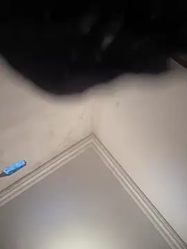 Snapshot of hot_girl_dina chatting on 02.08.25 hot girl dina online show from 02.08.25