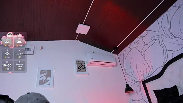 Samir bear online show from 11.20.25