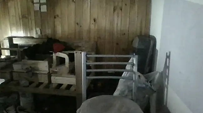 italianbighorse22 online show from 01.18.25