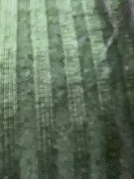 Snapshot of Rosita_forever_ chatting on 02.24.25 Rosita forever online show from 02.24.25