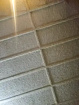 zaneporter46 online show from 02.08.25