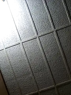 zaneporter46 online show from 02.08.25