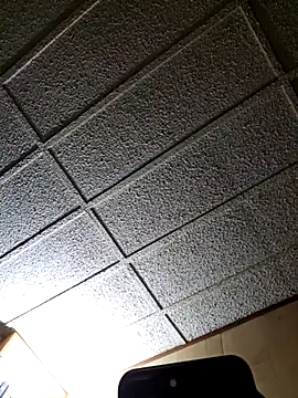 zaneporter46 online show from 02.25.25