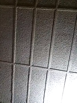 zaneporter46 online show from 03.14.25