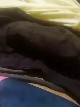 Snapshot of jarmesr7x chatting on 01.27.25 jarmesr7x online show from 01.27.25