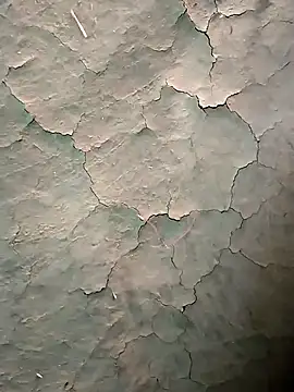 Snapshot of Guru2 chatting on 01.16.26 Guru2 online show from 01.16.26