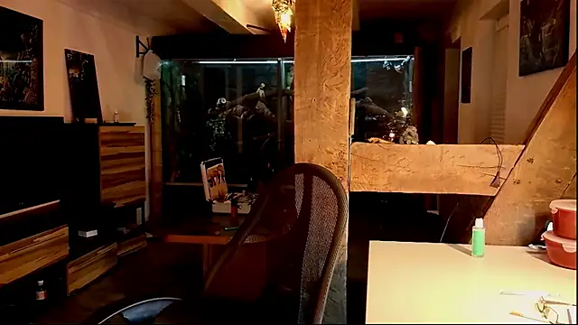 Snapshot of DYasmin69 chatting on 11.01.25 DYasmin69 online show from 11.01.25