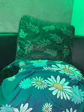 Snapshot of Br4ndxpimm chatting on 01.20.25 Br4ndxpimm online show from 01.20.25