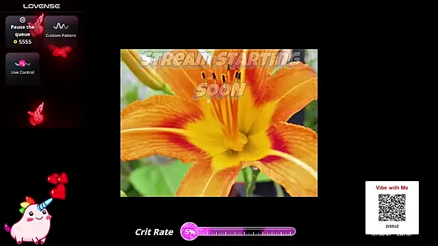 Hackensackneil online show from 03.25.26