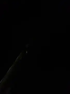 Snapshot of XGublex chatting on 11.16.25 XGublex online show from 11.16.25