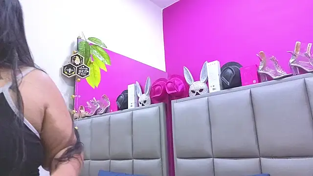 KRYSSTARITTER4 online show from 08.01.26
