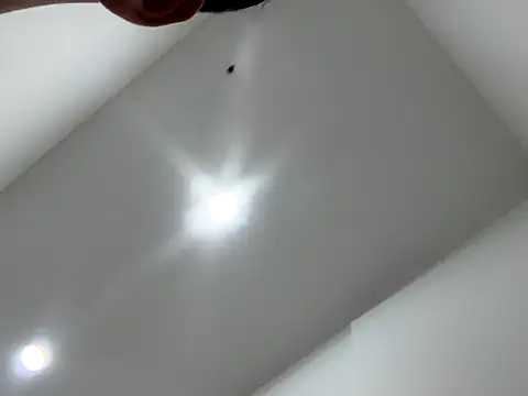 Snapshot of Sexocokin chatting on 12.16.25 Sexocokin online show from 12.16.25