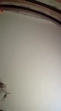 Lauren Amabel online show from 03.16.25