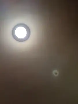 Snapshot of MrDaddyBbSnake chatting on 01.28.25 MrDaddyBbSnake online show from 01.28.25