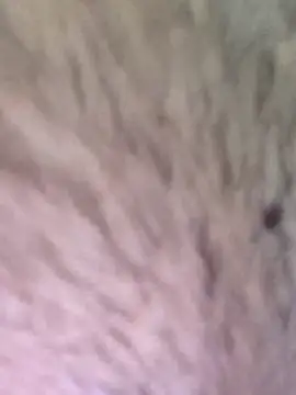 Snapshot of TOPMOON001 chatting on 03.07.25 TOPMOON001 online show from 03.07.25