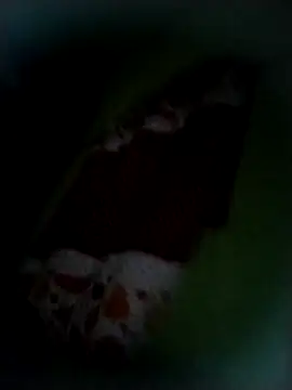 Snapshot of safado0027 chatting on 11.09.25 safado0027 online show from 11.09.25