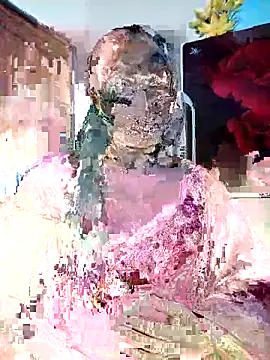 Snapshot of Anika-1 chatting on 02.24.26 Anika-1 online show from 02.24.26