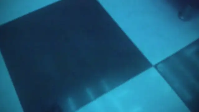 TaniaBellini online show from 01.11.25