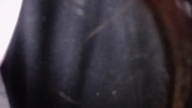 Snapshot of Sarita_v_ chatting on 02.06.25 Sarita v online show from 02.06.25