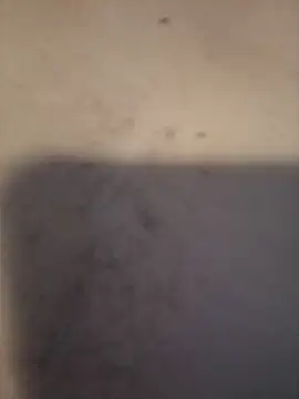 Snapshot of dany_hardy chatting on 03.24.26 dany hardy online show from 03.24.26