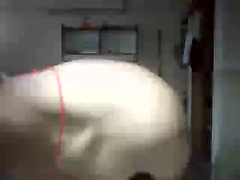 Snapshot of venom26 chatting on 09.14.25 venom26 online show from 09.14.25