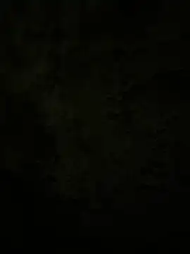 Lilymoonshow online show from 02.17.25