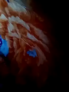 Snapshot of rameshjisex chatting on 11.12.25 rameshjisex online show from 11.12.25