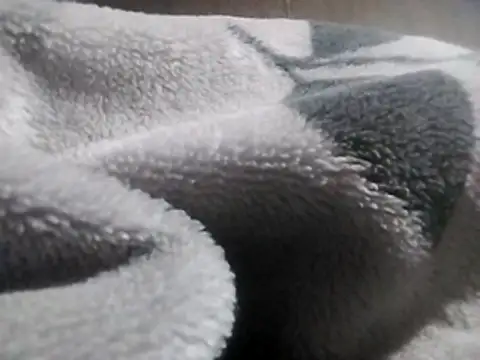 LaneYam online show from 03.12.26