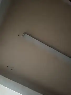 Snapshot of boyvergon chatting on 01.17.25 boyvergon online show from 01.17.25