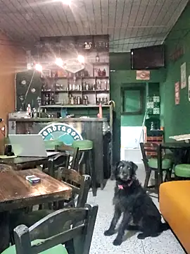 ilonna2025 online show from 03.15.26