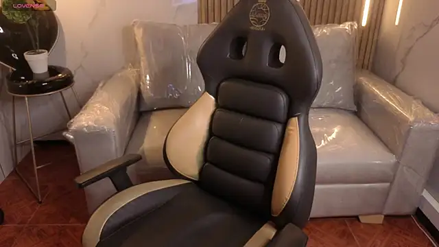 Kitten Cam online show from 02.20.26